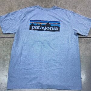 Patagonia Blue T-Shirt with Mountain Graphic